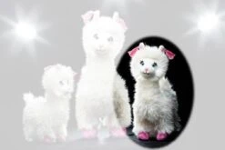 Schaffer Collection Lama "Loretta" 26 Cm