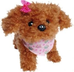 Chi Chi Love Tea Cup Poodle Puppy 9 Chi Chi Love Tea Cup Poodle Puppy -Kinder Verkauf 23545830 02