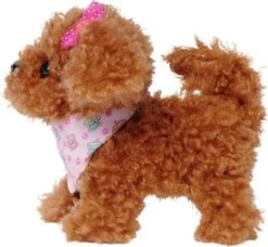 Chi Chi Love Tea Cup Poodle Puppy 10 Chi Chi Love Tea Cup Poodle Puppy -Kinder Verkauf 23545830 03