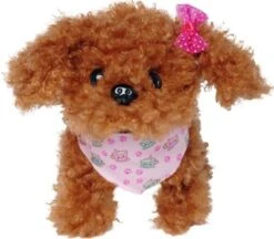 Chi Chi Love Tea Cup Poodle Puppy 11 Chi Chi Love Tea Cup Poodle Puppy -Kinder Verkauf 23545830 04