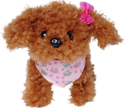 Chi Chi Love Tea Cup Poodle Puppy 6 Chi Chi Love Tea Cup Poodle Puppy – Bild 4