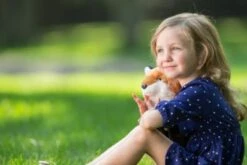 Wild Republic CK Red Fox, 30 Cm -Kinder Verkauf 25683630 02