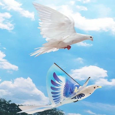 Brighten Elektrisches Weltraumvogelflugzeug Für Kinder Elektrisches Flugzeugspielzeug Für Kinder 4 Brighten Elektrisches Weltraumvogelflugzeug Für Kinder Elektrisches Flugzeugspielzeug Für Kinder – Bild 2